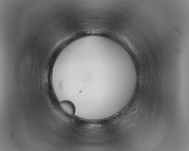 X0000111350543200907100937