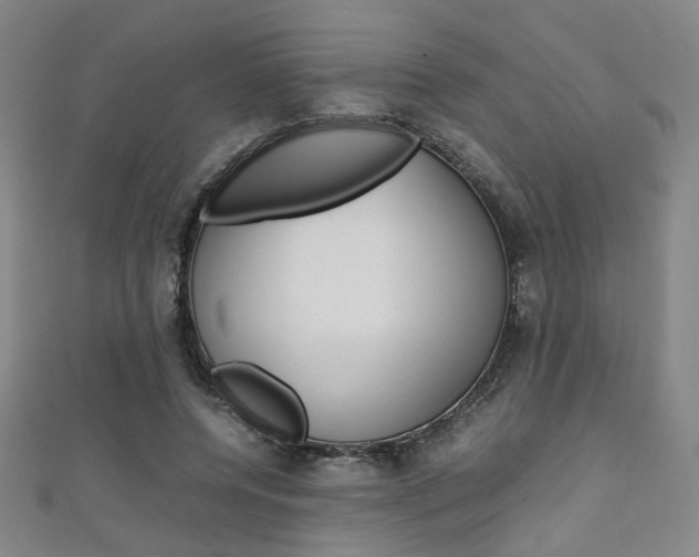 X0000111350544200907100937