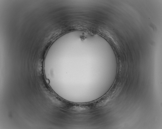X0000111350545200907100937