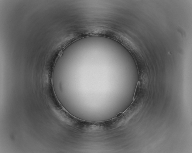 X0000111350546200907100937