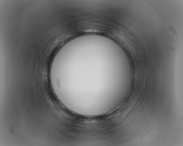 X0000111350547200907100937