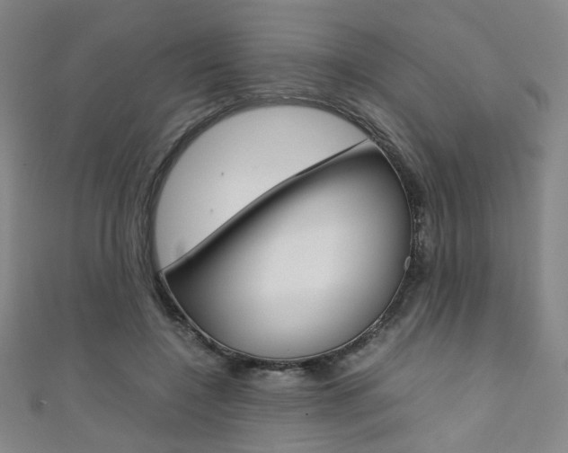 X0000111350548200907100937