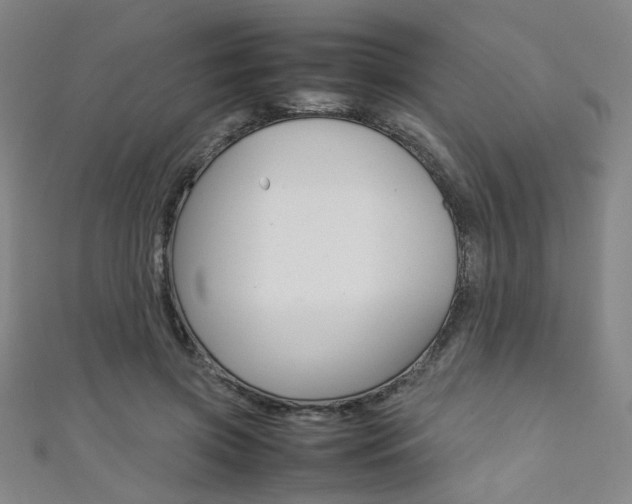 X0000111350549200907100937