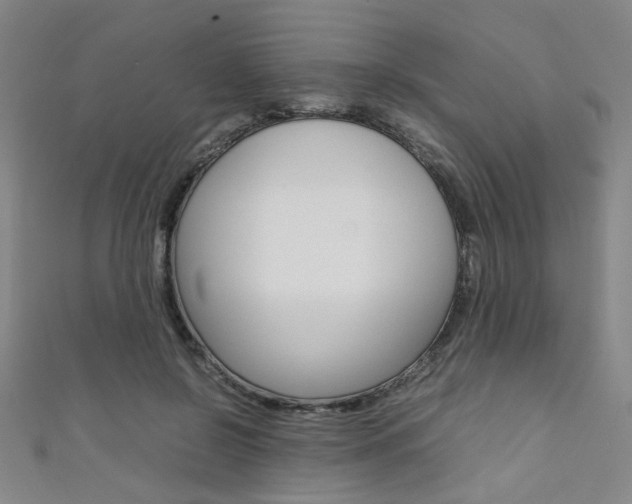 X0000111350550200907100937