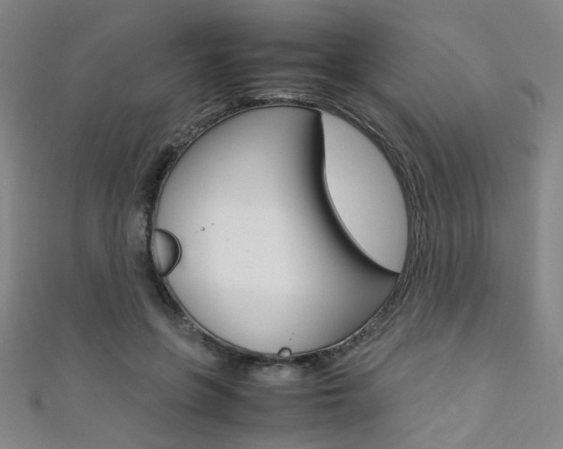 X0000111350551200907100937