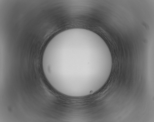 X0000111350552200907100937