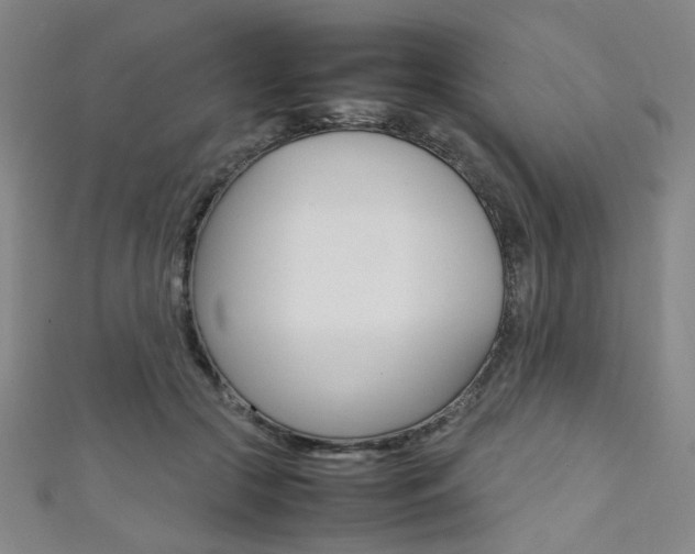 X0000111350553200907100937