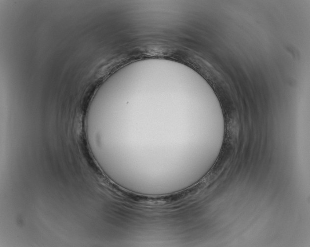 X0000111350554200907100937
