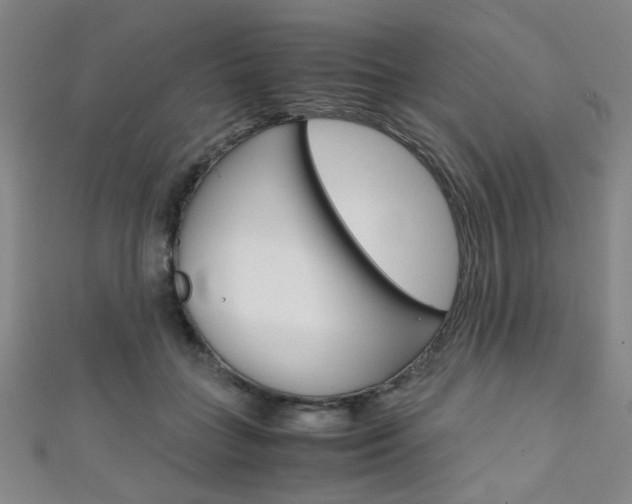 X0000111350555200907100937
