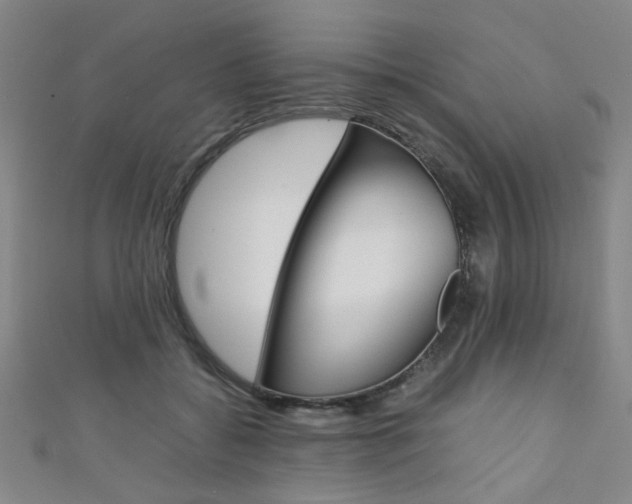 X0000111350556200907100937