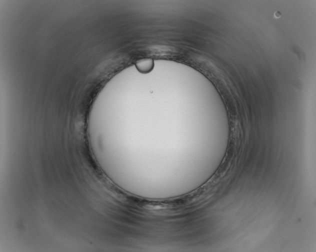 X0000111350557200907100937