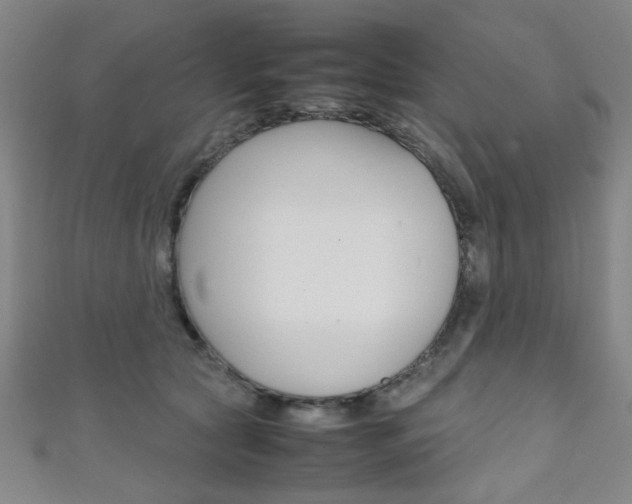 X0000111350561200907100937