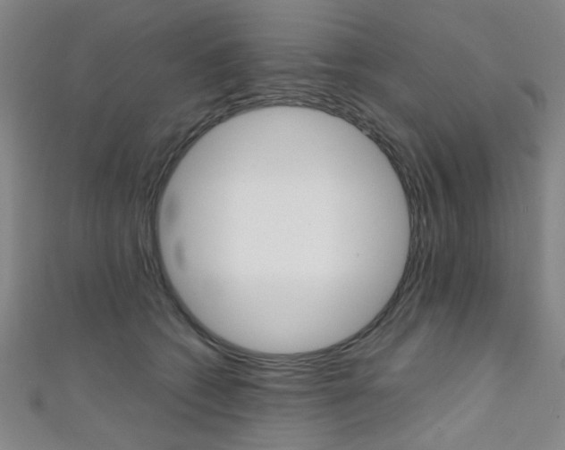 X0000111350562200907100937