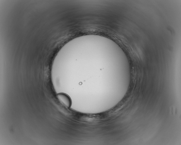 X0000111350563200907100937
