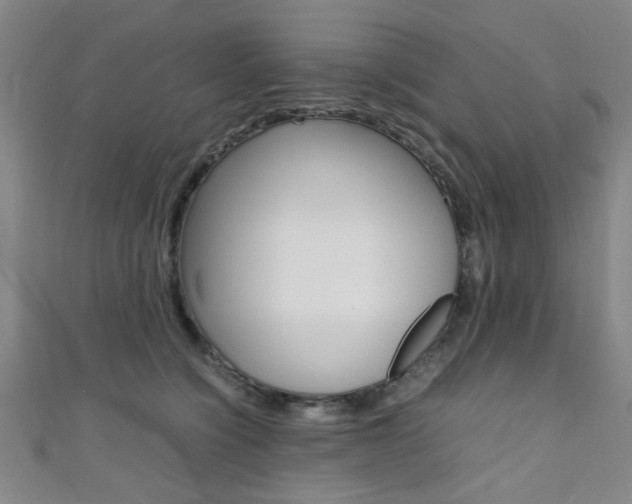 X0000111350564200907100937