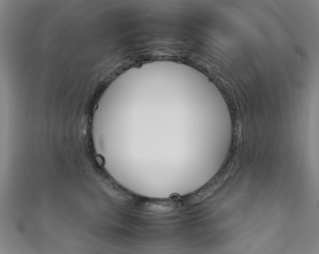 X0000111350567200907100937