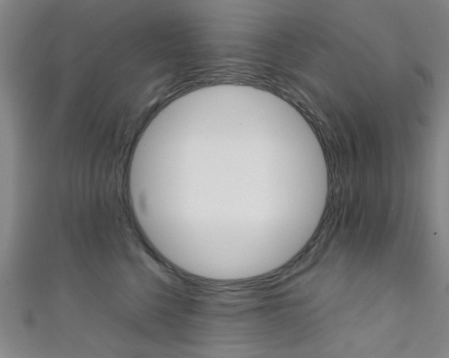 X0000111350568200907100937