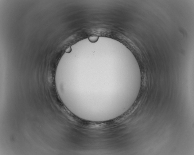 X0000111350569200907100937