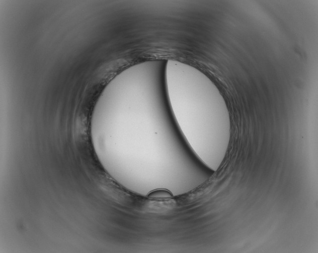 X0000111350571200907100937