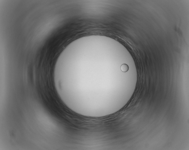 X0000111350572200907100937