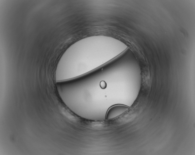 X0000111350574200907100937