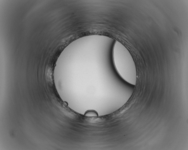 X0000111350575200907100937