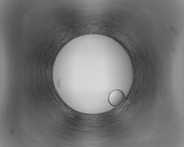 X0000111350576200907100937