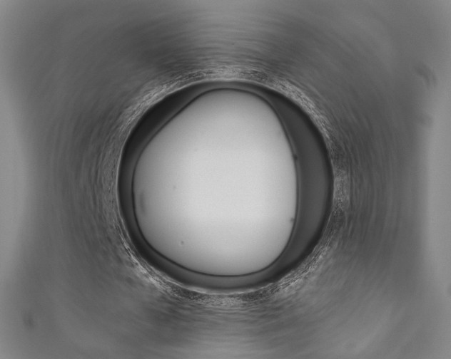 X0000111350577200907100937