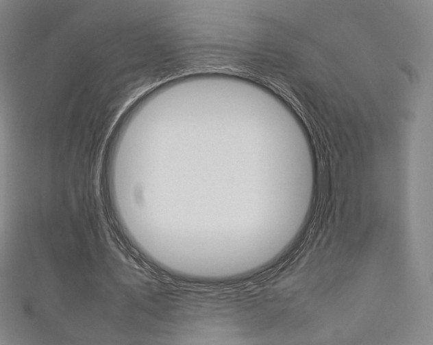 X0000111350579200907100937