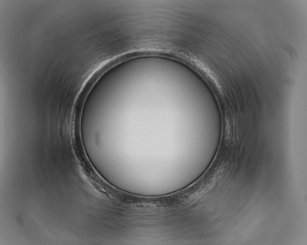 X0000111350580200907100937