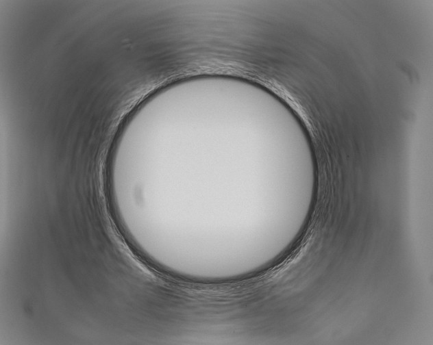 X0000111350581200907100937