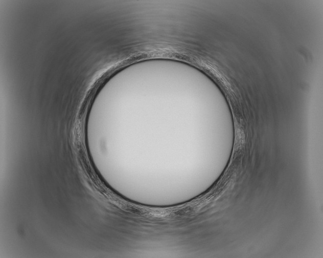 X0000111350583200907100937