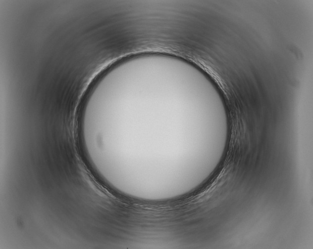 X0000111350584200907100937