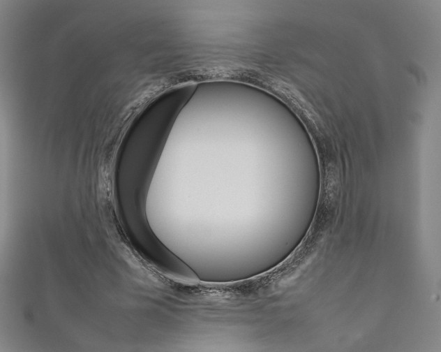 X0000111350585200907100937