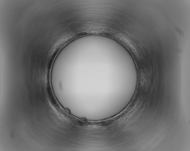X0000111350586200907100937