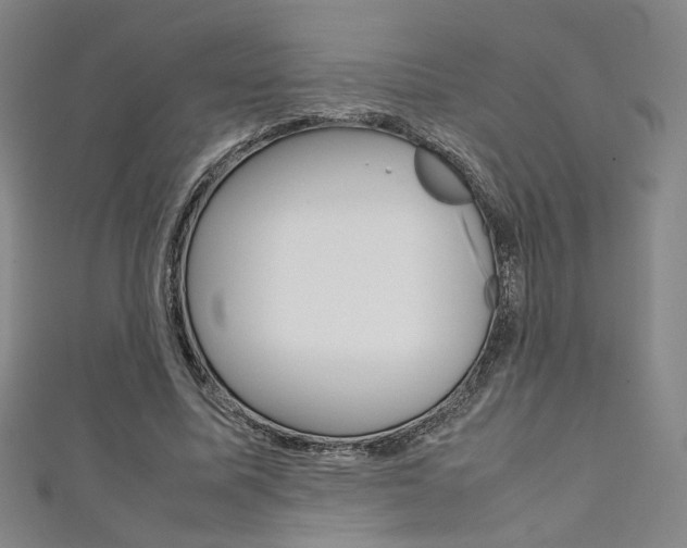 X0000111350587200907100937