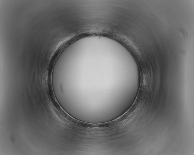 X0000111350588200907100937
