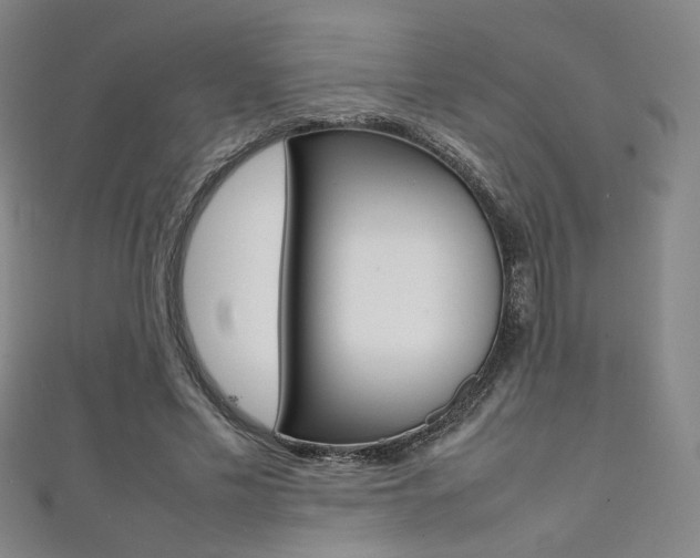 X0000111350589200907100937