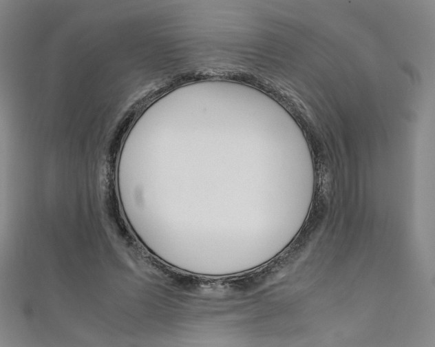 X0000111350591200907100937