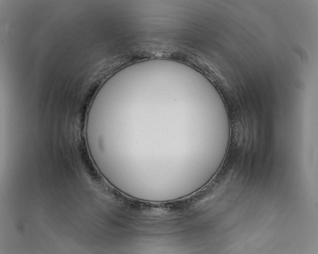 X0000111350594200907100937