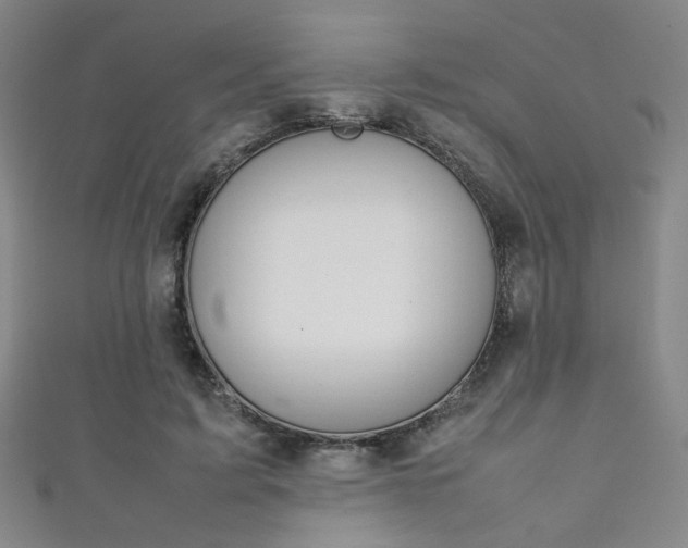X0000111350595200907100937