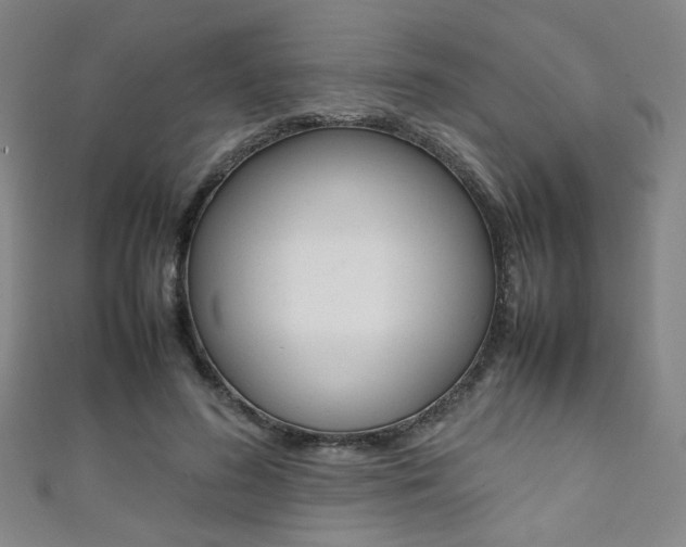 X0000111350596200907100937