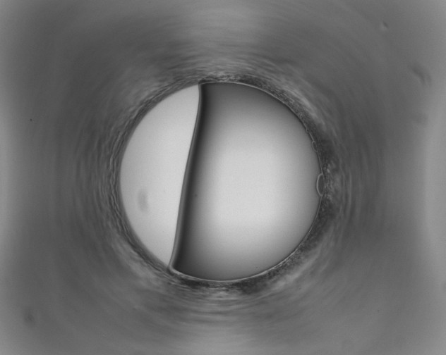 X0000111350597200907100937