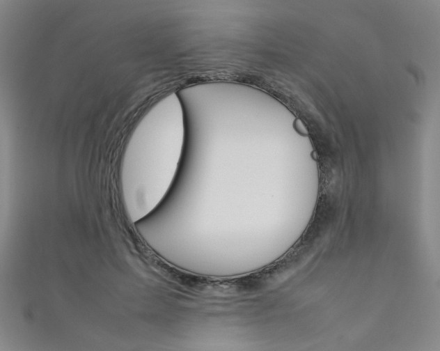 X0000111350599200907100936