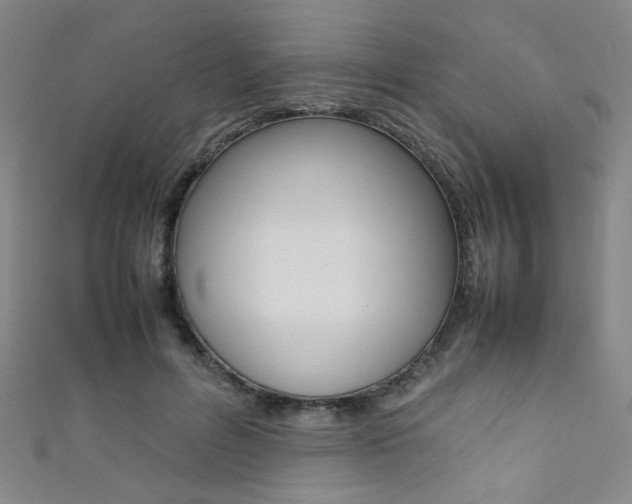 X0000111350600200907100936