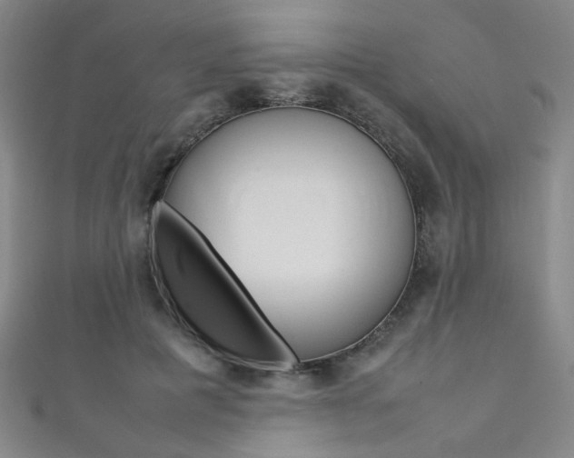 X0000111350601200907100936