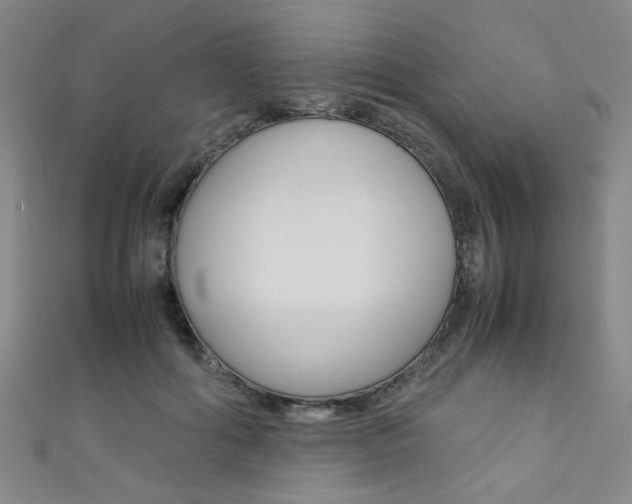 X0000111350602200907100936