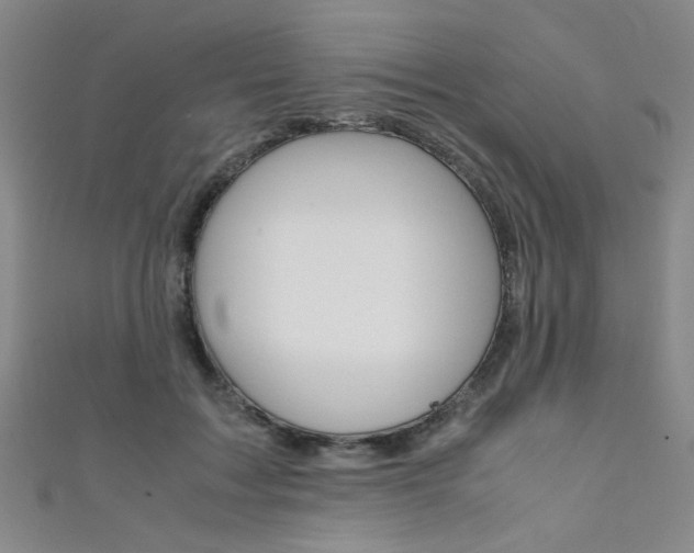 X0000111350603200907100936