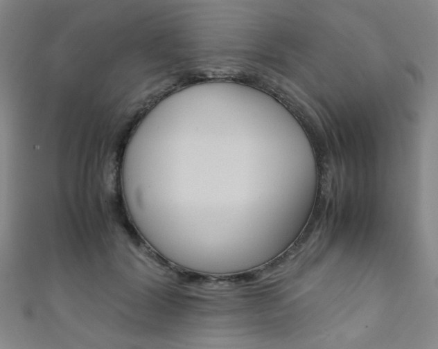 X0000111350604200907100936