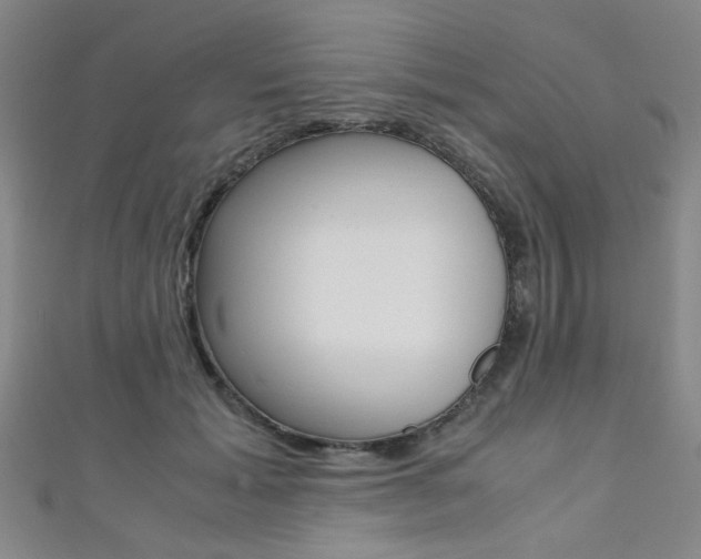 X0000111350605200907100936